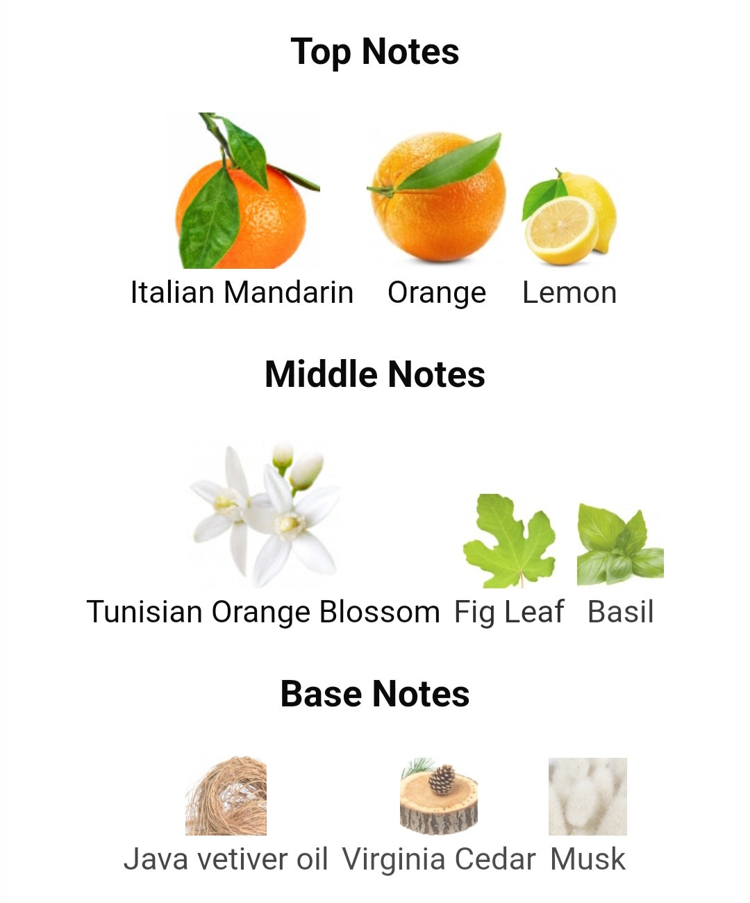 Riviera Sunrise - Atelier des Ors, Eau de parfum 0.8ml, 2ml, 5ml sample