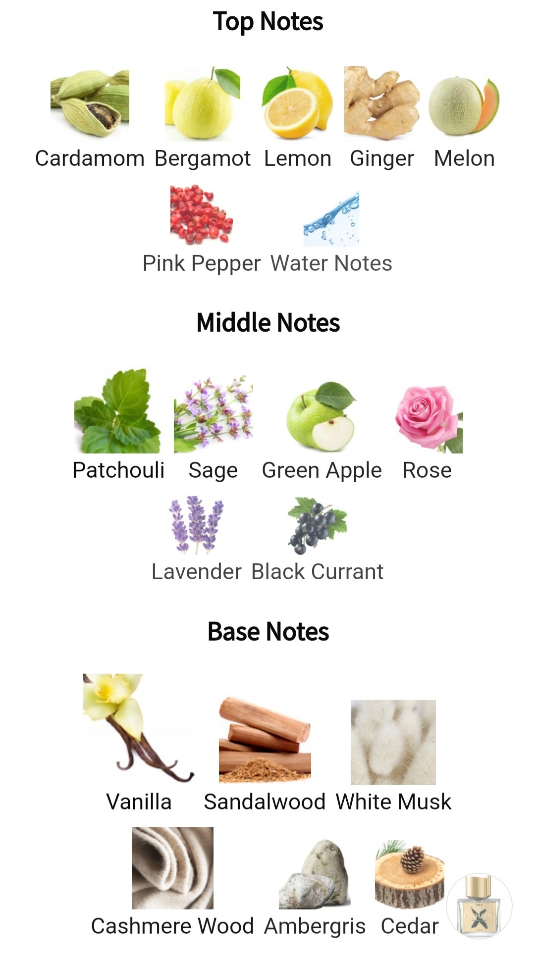 Ani X - Nishane, Eau de parfum 0.8ml, 2ml, 5ml sample