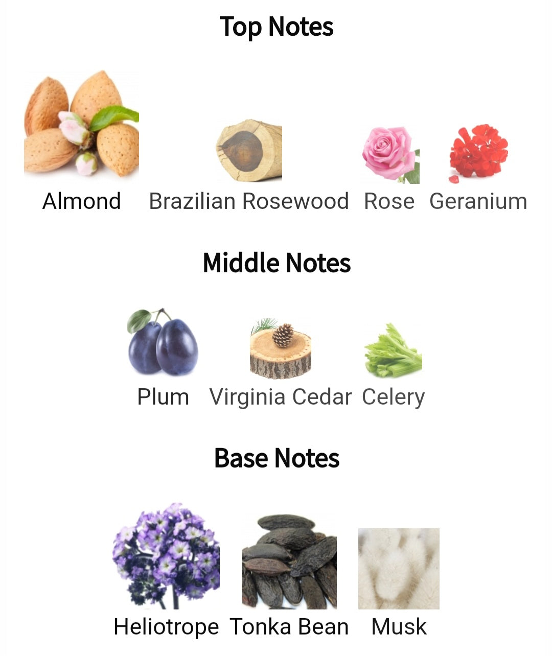 Tardes - Carner Barcelona, Eau de parfum 0.8ml, 2ml, 5ml sample