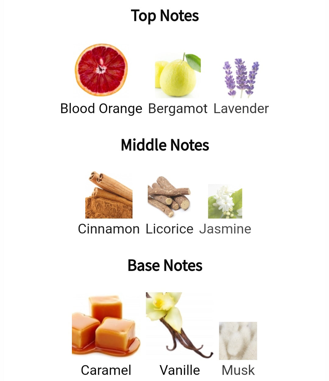 Lira - Xerjoff, Eau de parfum 0.8ml, 2ml, 5ml sample